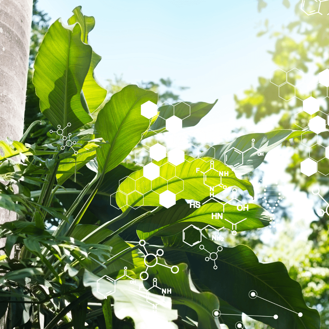 Botanical foliage with overlaid molecular structures — the natural peptide brand visual